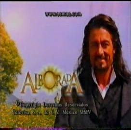 pdvd_008.jpg